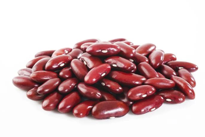 Wholesale Kidney Beans in Iraq; Import Guide & Wholesale Prices + Supplier Offer by Tamila Agrifood